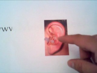 Earpro by Surefire EP3 Sonic Defenders Ear Plugs Review by M