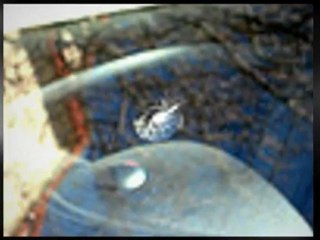 TONTO%BASIN  windshield repair cost