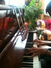 Flightless Bird piano
