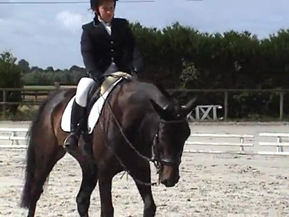 Virginie dressage
