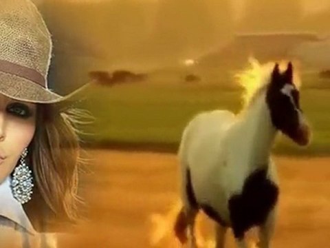 .҈.♥. Wschód słońca nad stadniną -Czerwone Gitary.҈.♥.