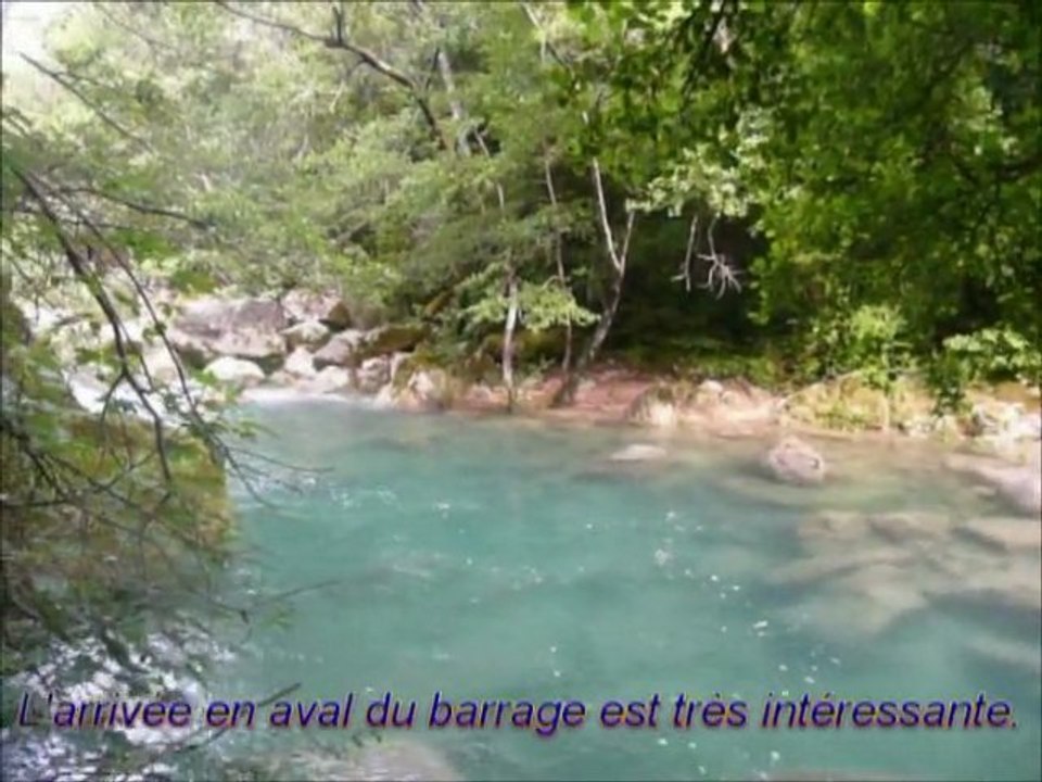 Siagne - Bambouseraie (reloaded)