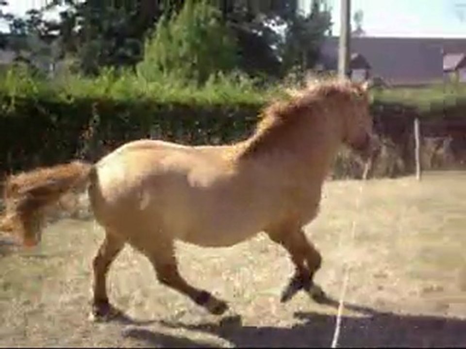 Titan (saut en liberté)