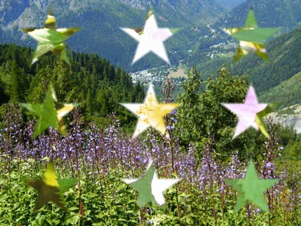 Mamoune part en Haute Montagne, elle vous remercie de vos visites, de vos commentairesun vrai réconfort au quotidien, elle validera tout ces gestes d'affection a son retout le 30 juillet 2010