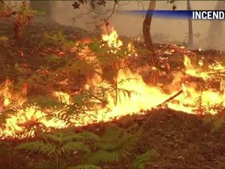 Le Journal vidéo du dimanche du 3 juillet 2011, édition de 18H00