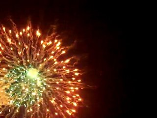 Havai Fişek Gösterisi Araç