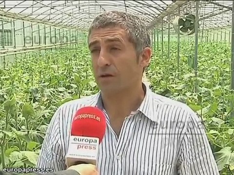 Cultivadores piden respeto para las hortalizas