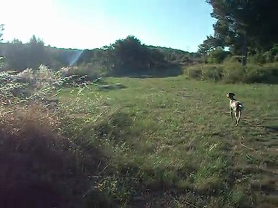 cirka aux lapins 001