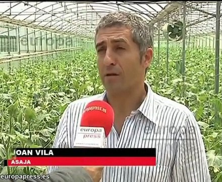 España estudia reclamar a Bruselas por los pepinos