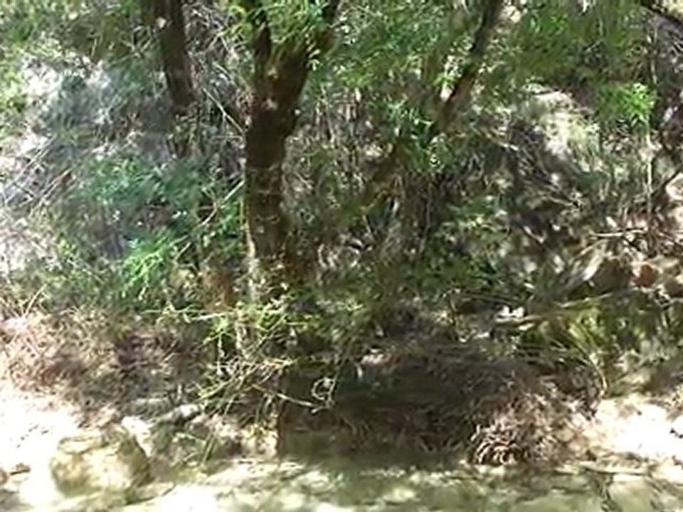 L'Huveaune (Var)
