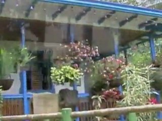 COLOMBIA, parque del café 2011