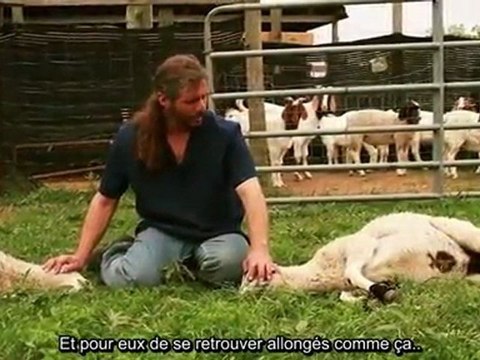 Mercy Halal - La miséricorde de l’abattage rituel islamique Partie 1 (Mercy Slaughter LLC)