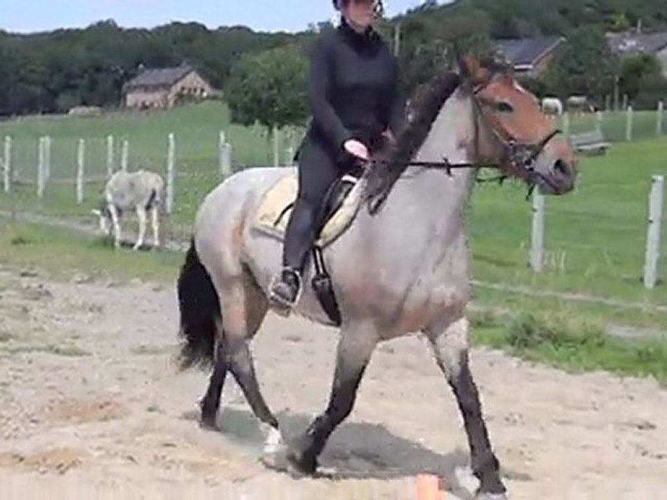 3 juillet 11 002