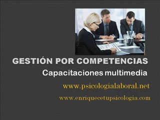 Gestión del desempeño por competencias Alles