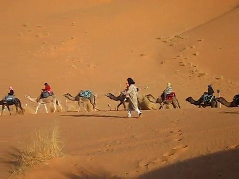 http://www.aventurasdesierto.com