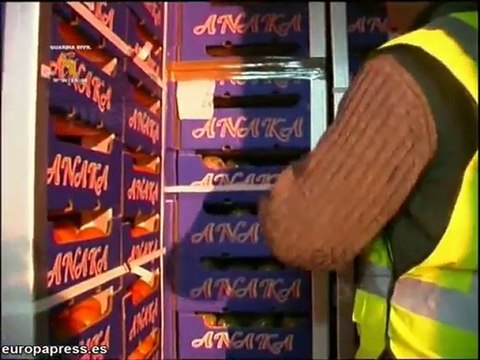 Camuflaban el hachís entre hortalizas