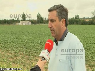 Campos de secano se ven afectados por el granizo