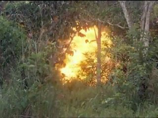 Aguirre_ The Wrath of God Trailer - Inception Style