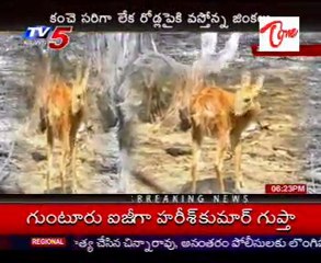 Less Security in Vigyan Bhawan, Warangal