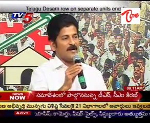 Telugu Desam row on separate unit 'ends'