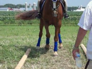 Vidéo Jeux équestre Michel  3 Juillet 2011 01