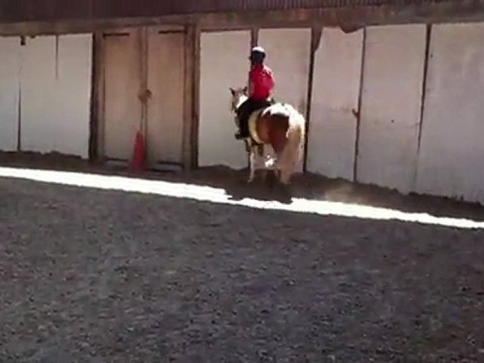 Okapi