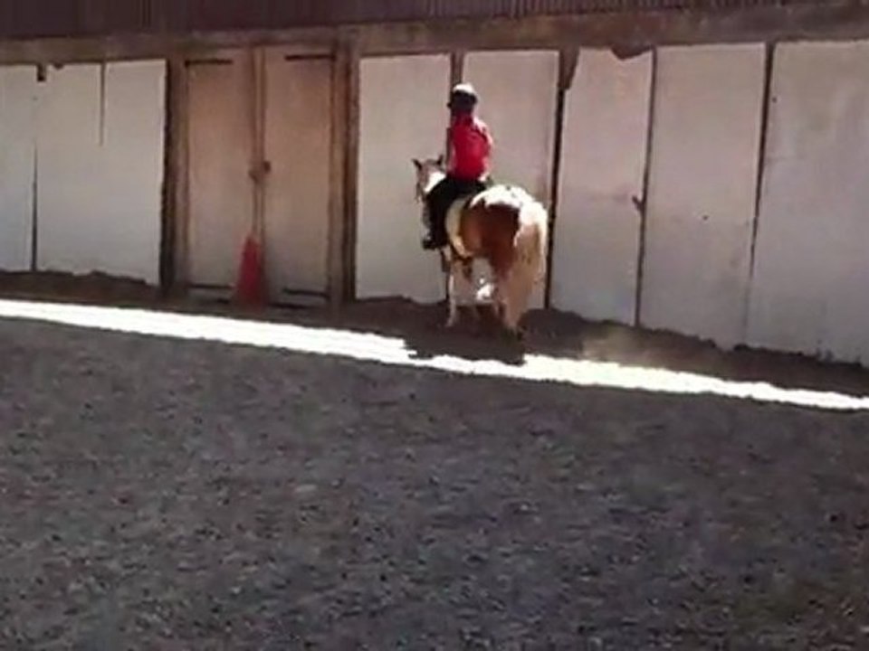 Okapi