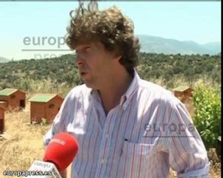 Una granja de Ávila cría gallinas en chalets