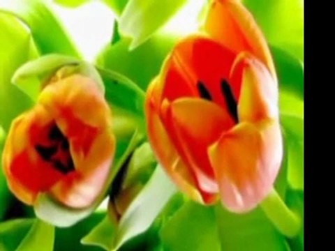 sevgili peygamberim-28