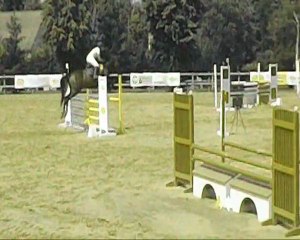 Hie Grand Prix 1m05 a St germer de Fly