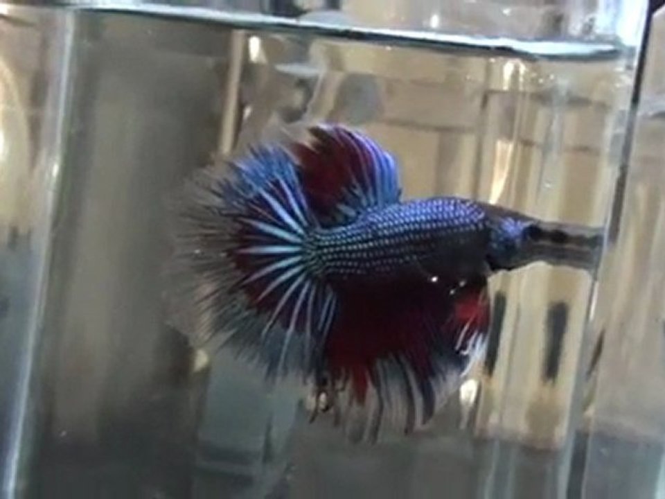 20110701201419