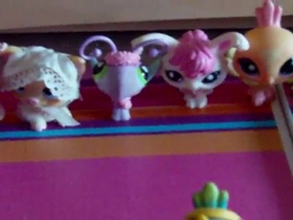 partie 2 Miss Petshop juillet 2011