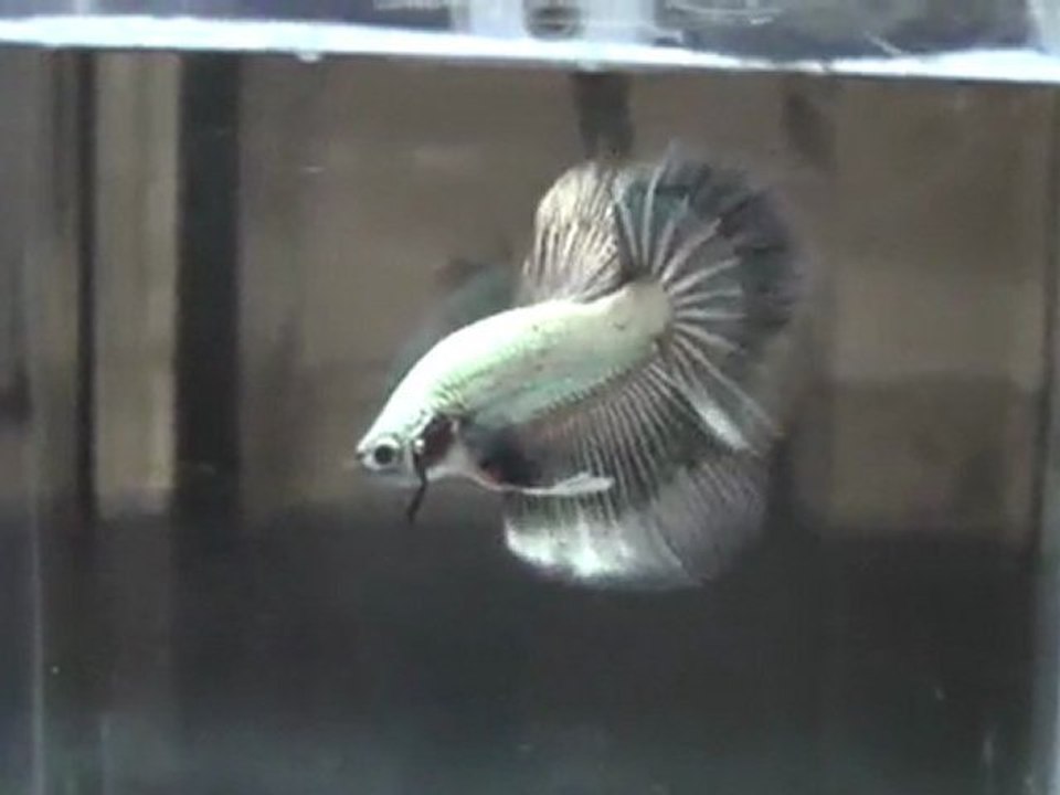 20110701200225