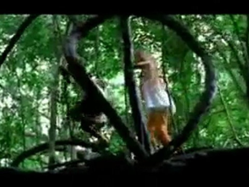 Tour Sri Lanka, Travel Sri Lanka, Hotels in Sri Lanka, Holiday in Sri Lanka