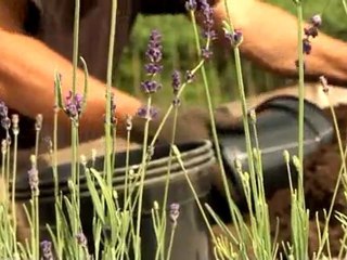 5 portraits de paysans bio dans le Var