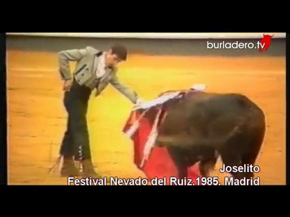 JOSELITO FESTIVAL NEVADO RUIZ MADRID