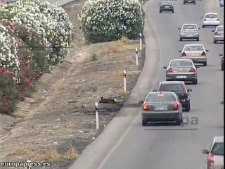 Arde un vehículo sin ocupantes en Sevilla