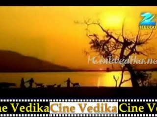 Cinevedika.net - CD-2 jul 04