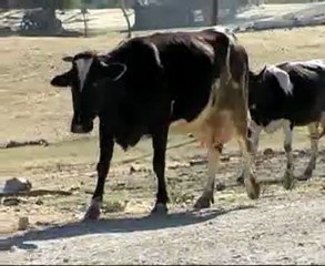 Dursunbey Tanıtım Videosu