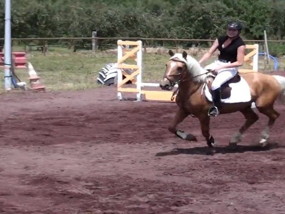 Uppercut (bientôt 3 ans) - Premier concours