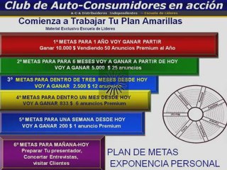 Plan de Metas en ventas Amarillas Internet