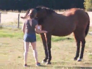 vidéo : le reculé façon éthologique--un début impressionant