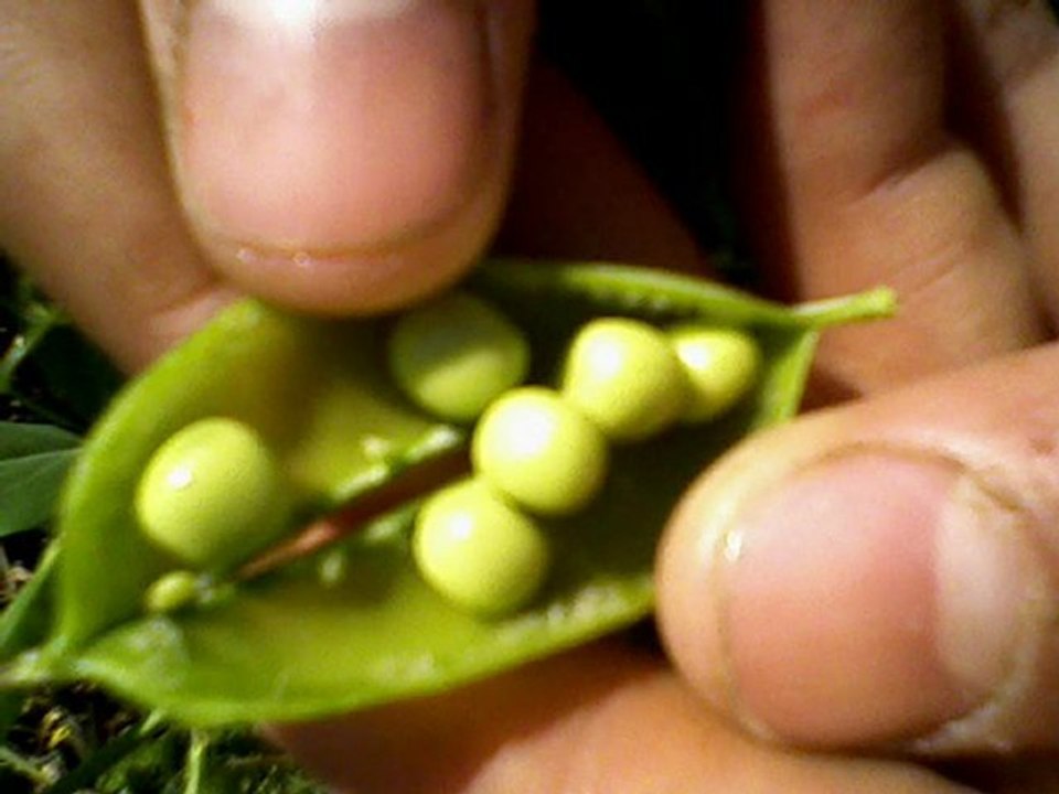 SALİM DEMİR YAYINLARI