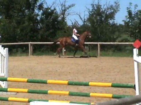 REINE DE LA CRECQUE RODEZ 25 JUIN 2011 CYCLE LIBRE 6ANS 2EME ANNEE