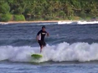 Hollywood Stars Love to Surf