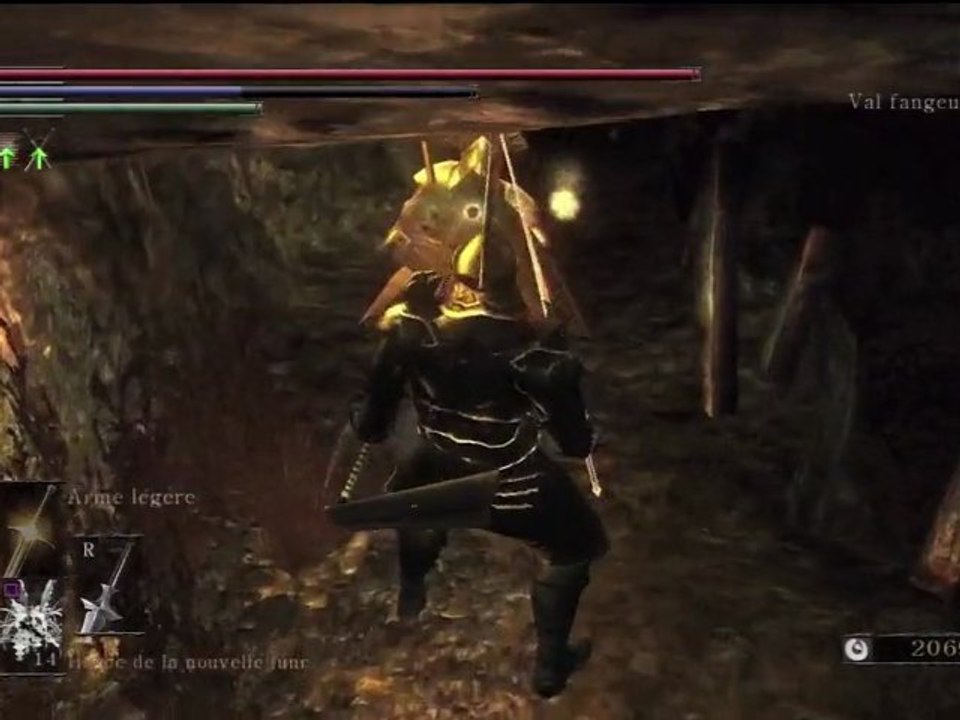 Guide Demon's Souls HD FR 043