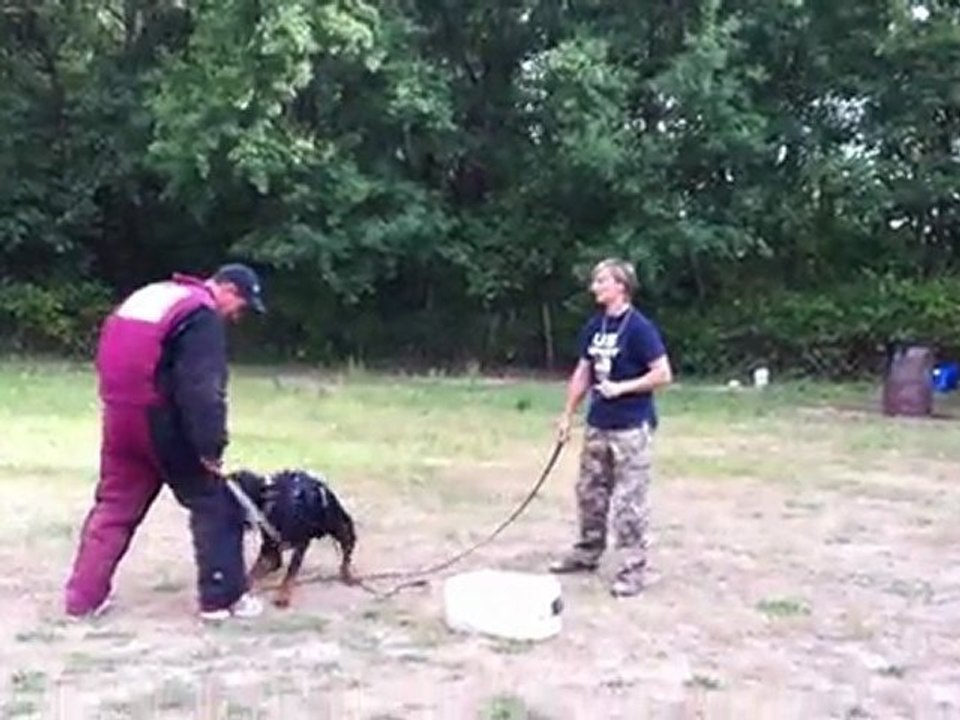 ENTRAINEMENT ARES 14 MOIS