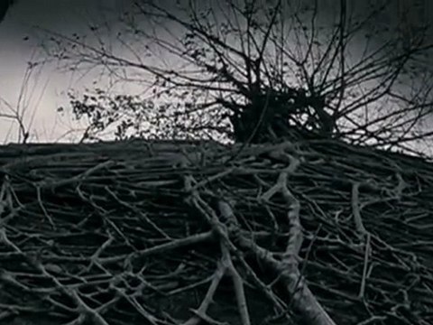 Ocean Of An Old Man (2011) Dvd Rip Watch Online Part1