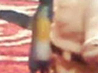 Pinqui Penguin ve Maceraları Bölüm 1