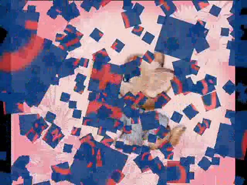 Imieniny Karolinki 2011rok